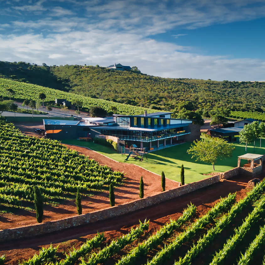 A house surrounded by a lush vineyard, with green grapevines stretching across the landscape under a partly cloudy sky.