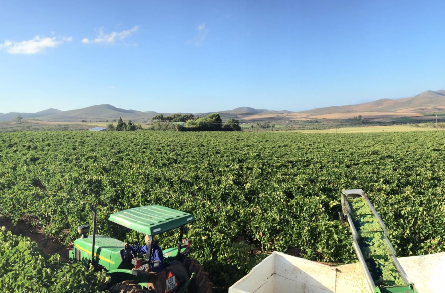 A green tractor parked in a lush agricultural field with grass and crops, under a clear blue sky filled with fluffy clouds, against a backdrop of distant mountains.